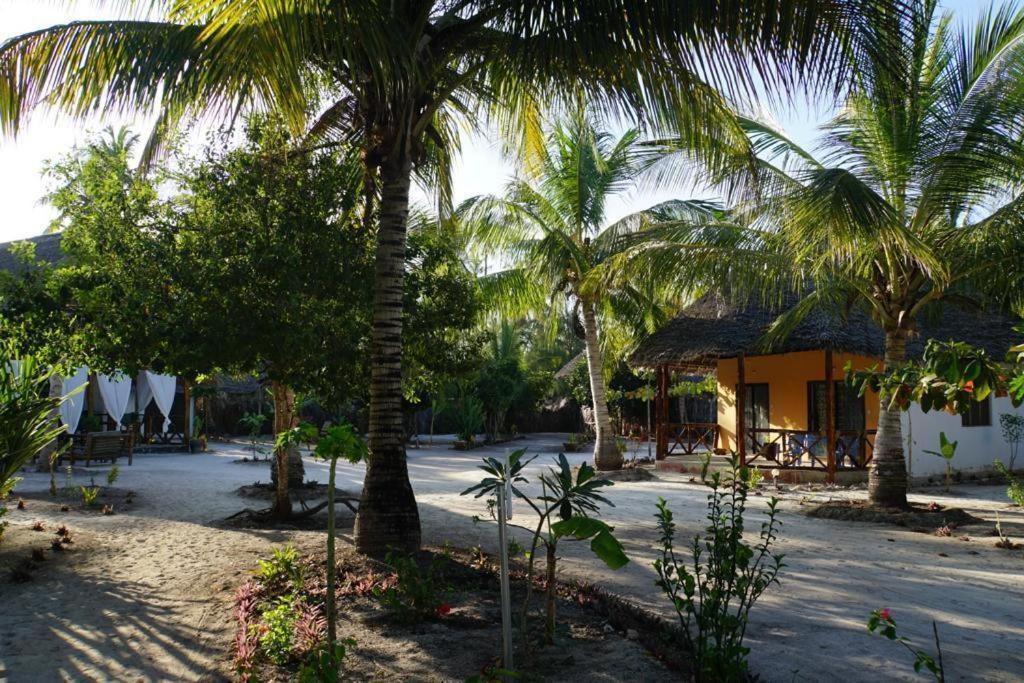 Dreams Of Mapacha Bed & Breakfast Michamvi Eksteriør bilde