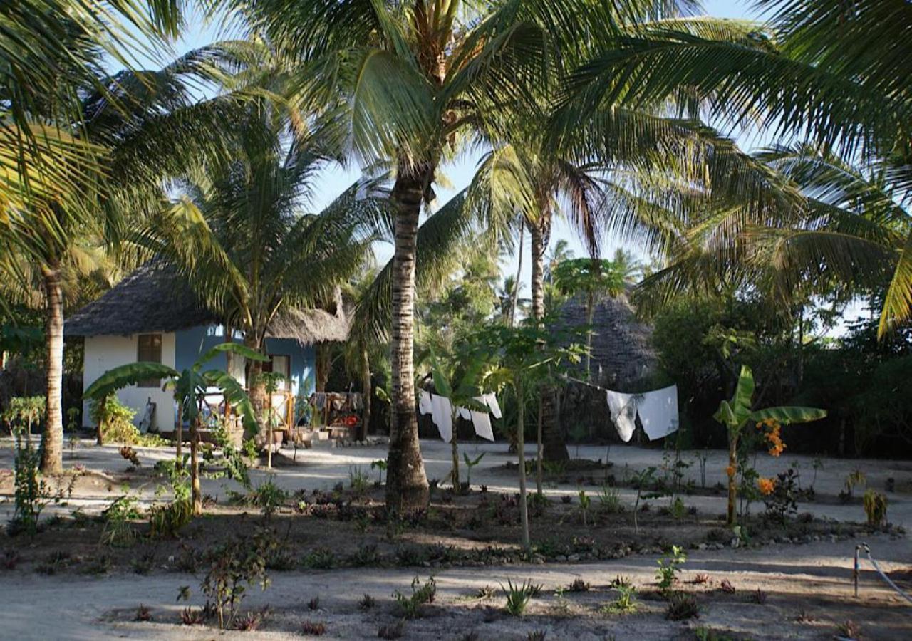 Dreams Of Mapacha Bed & Breakfast Michamvi Eksteriør bilde