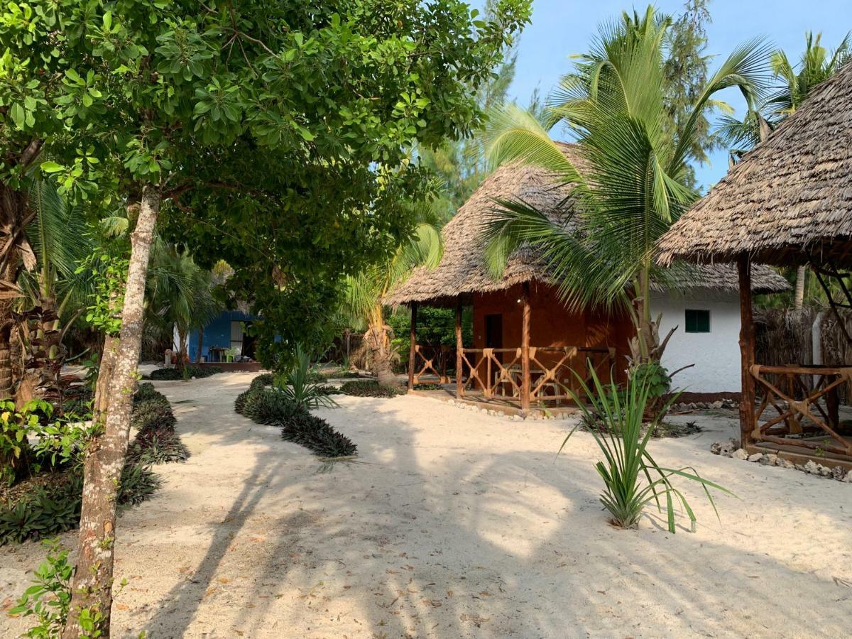 Dreams Of Mapacha Bed & Breakfast Michamvi Eksteriør bilde